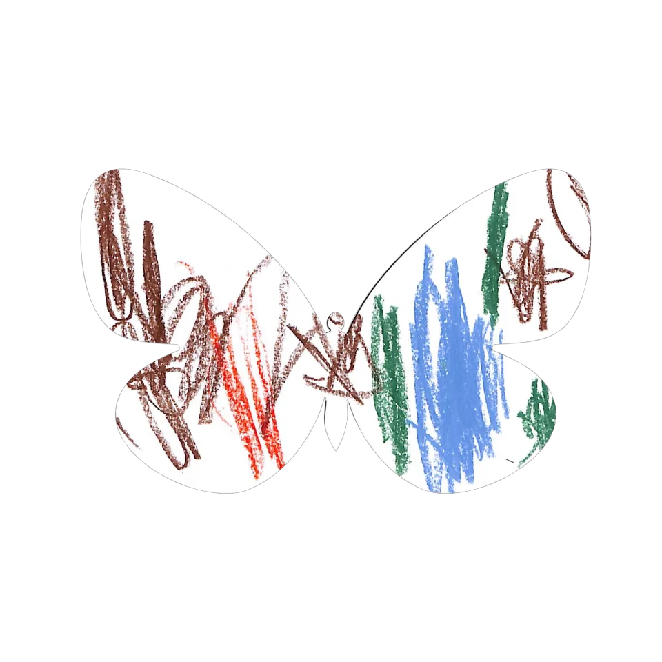 Original Butterfly Image