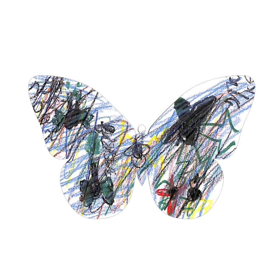 Original Butterfly Image