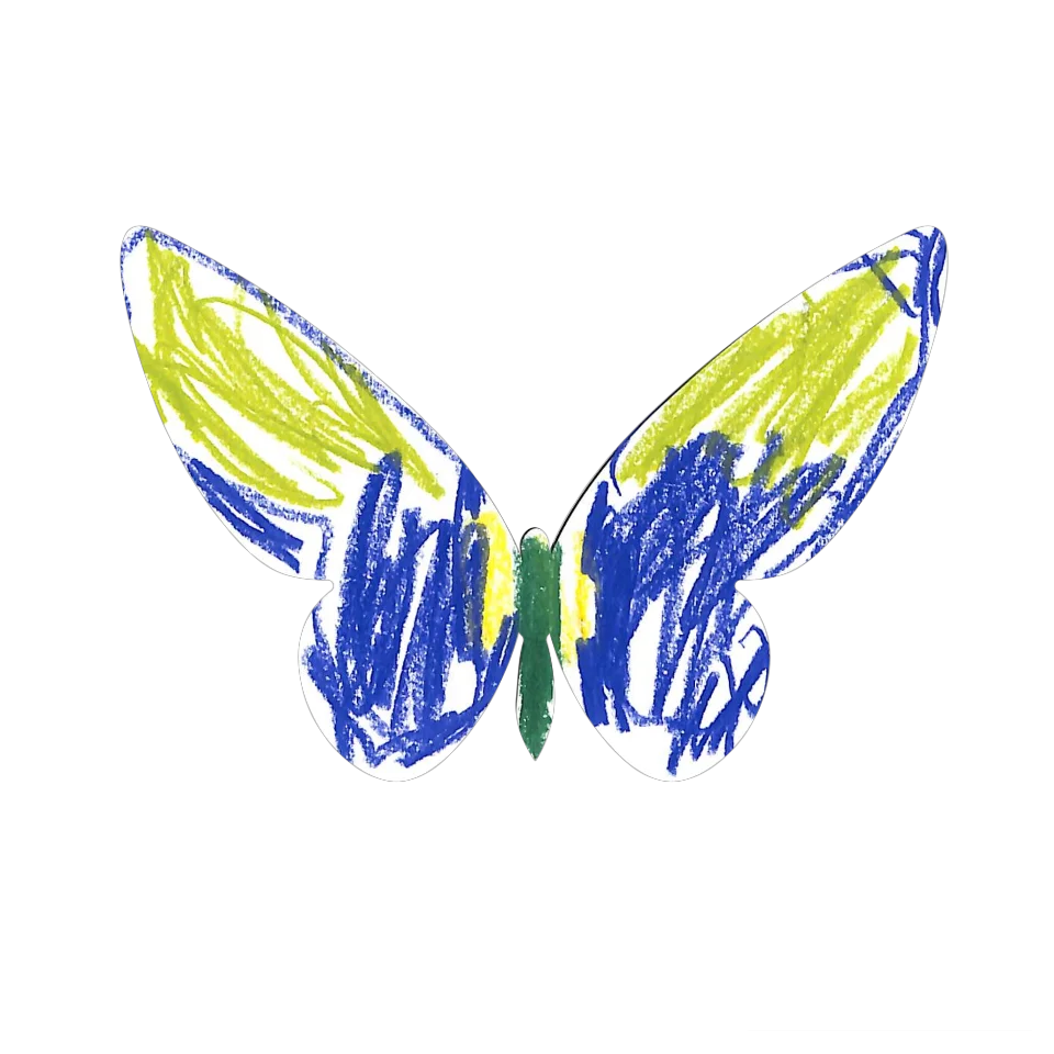 Original Butterfly Image