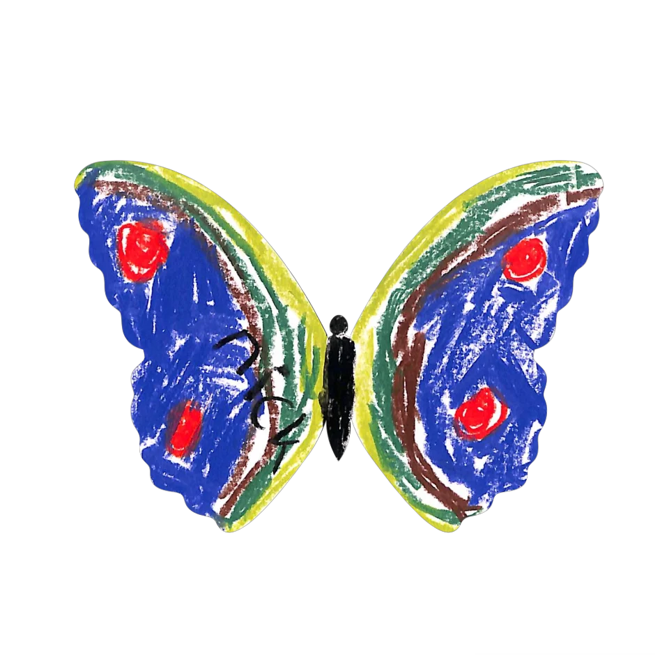 Original Butterfly Image