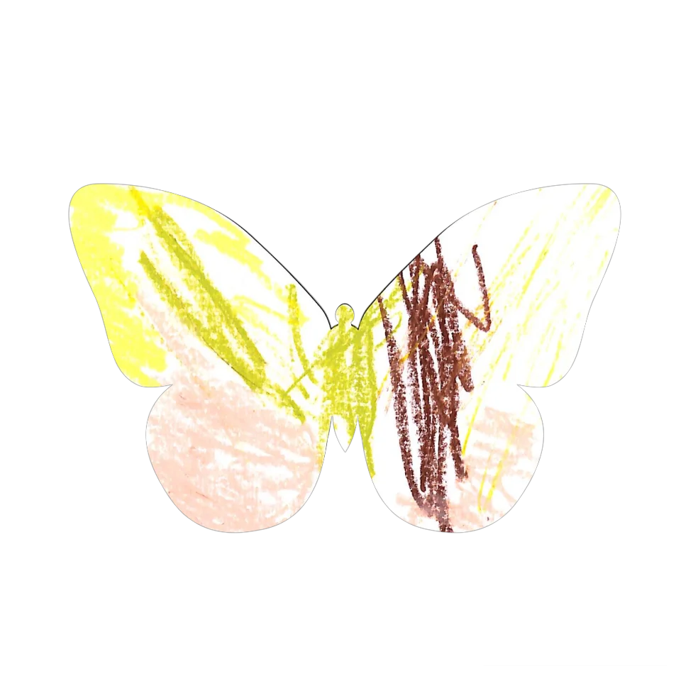 Original Butterfly Image