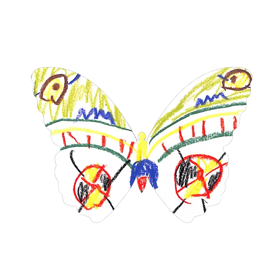 Original Butterfly Image