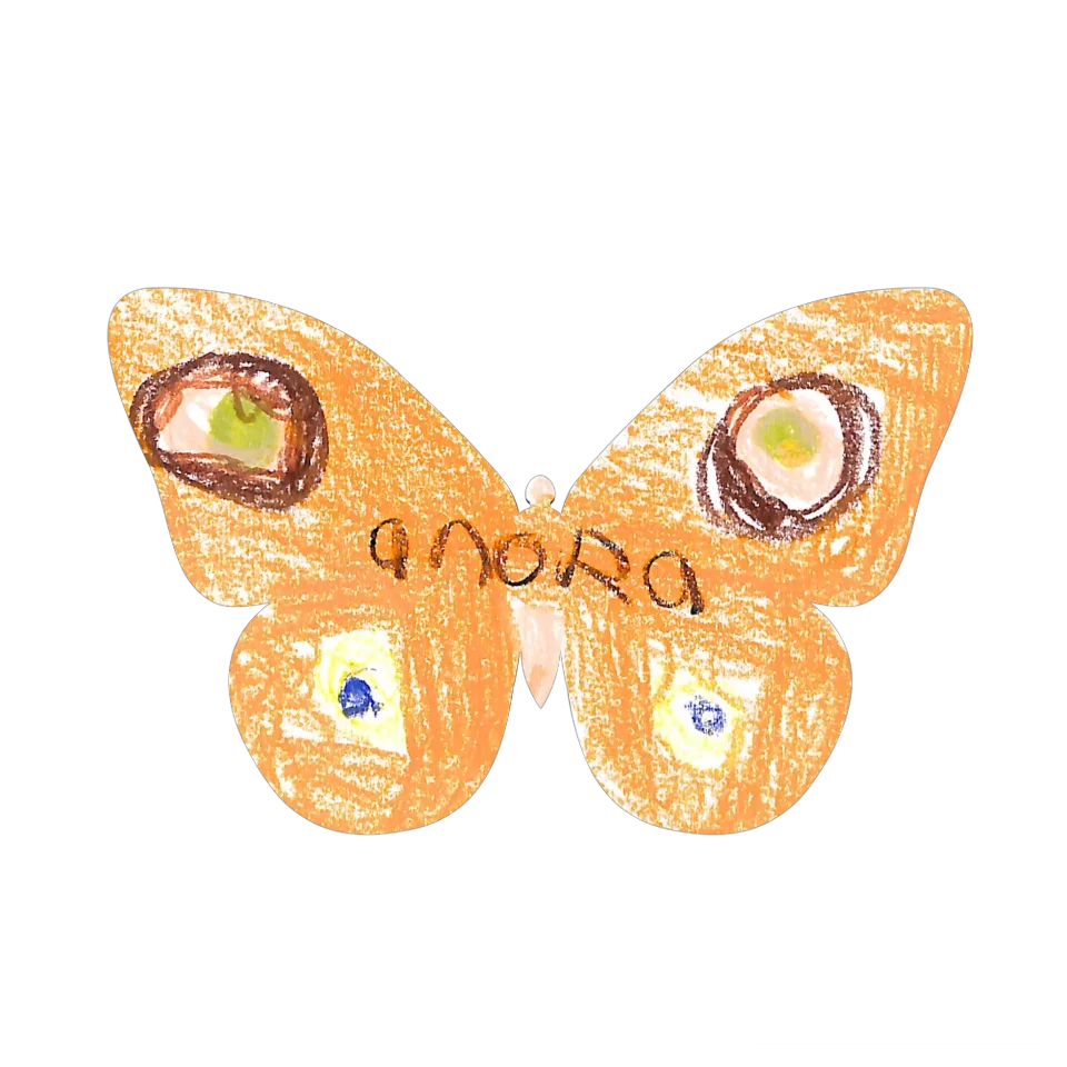 Original Butterfly Image