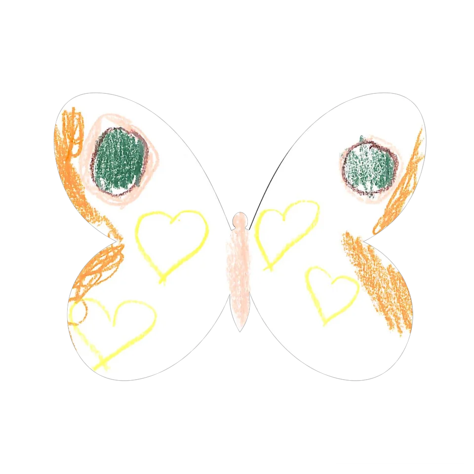 Original Butterfly Image