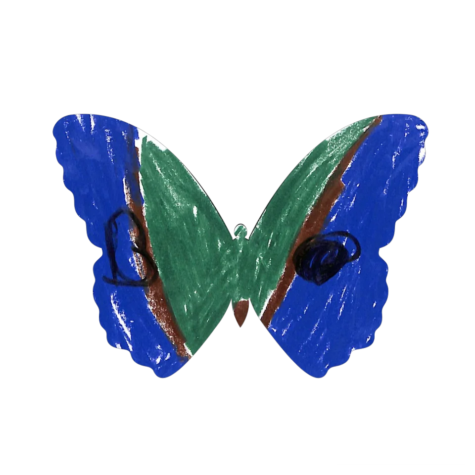 Original Butterfly Image