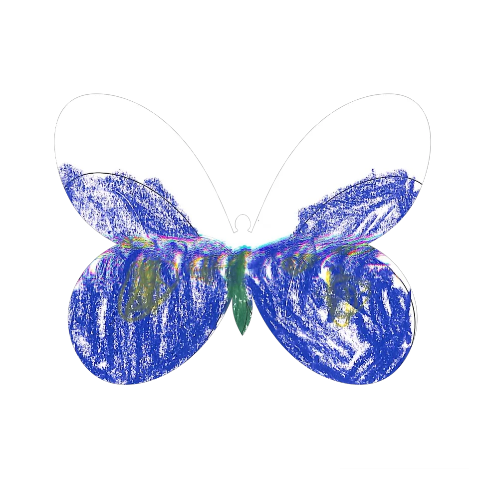 Original Butterfly Image