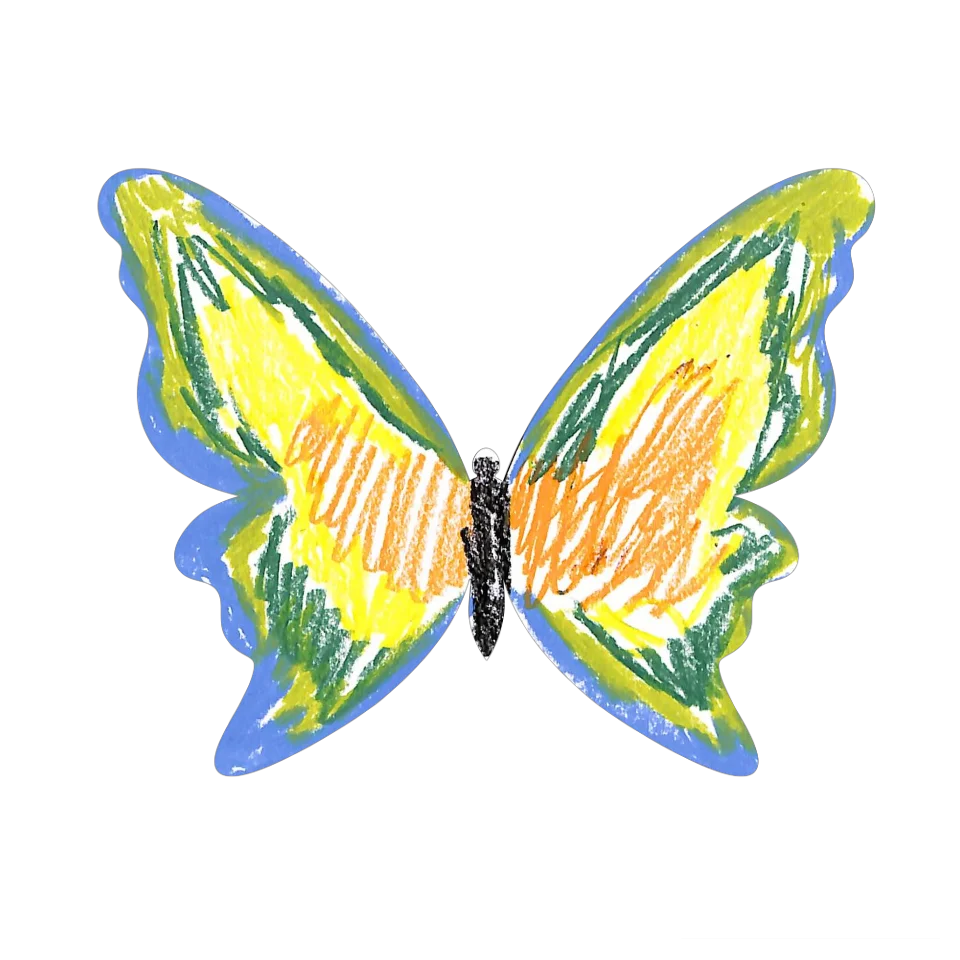 Original Butterfly Image