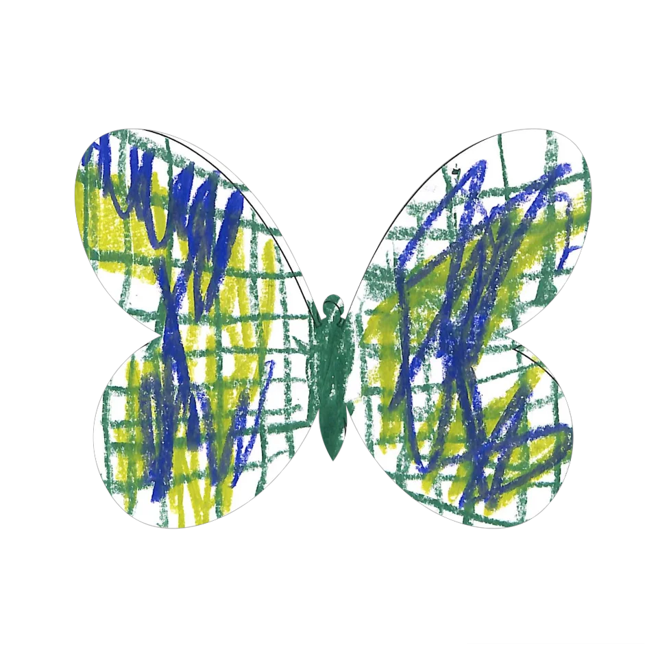 Original Butterfly Image