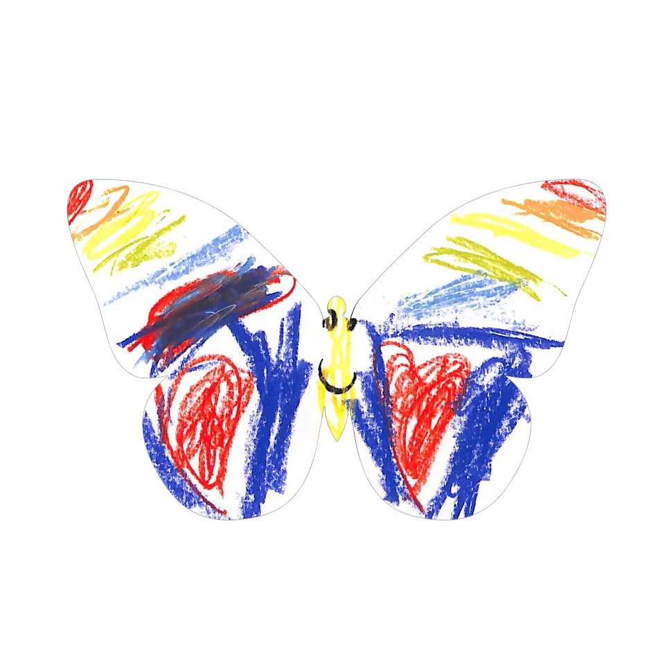 Original Butterfly Image