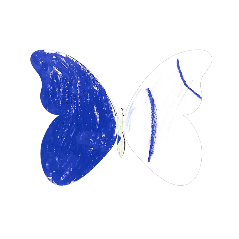 Original Butterfly Image