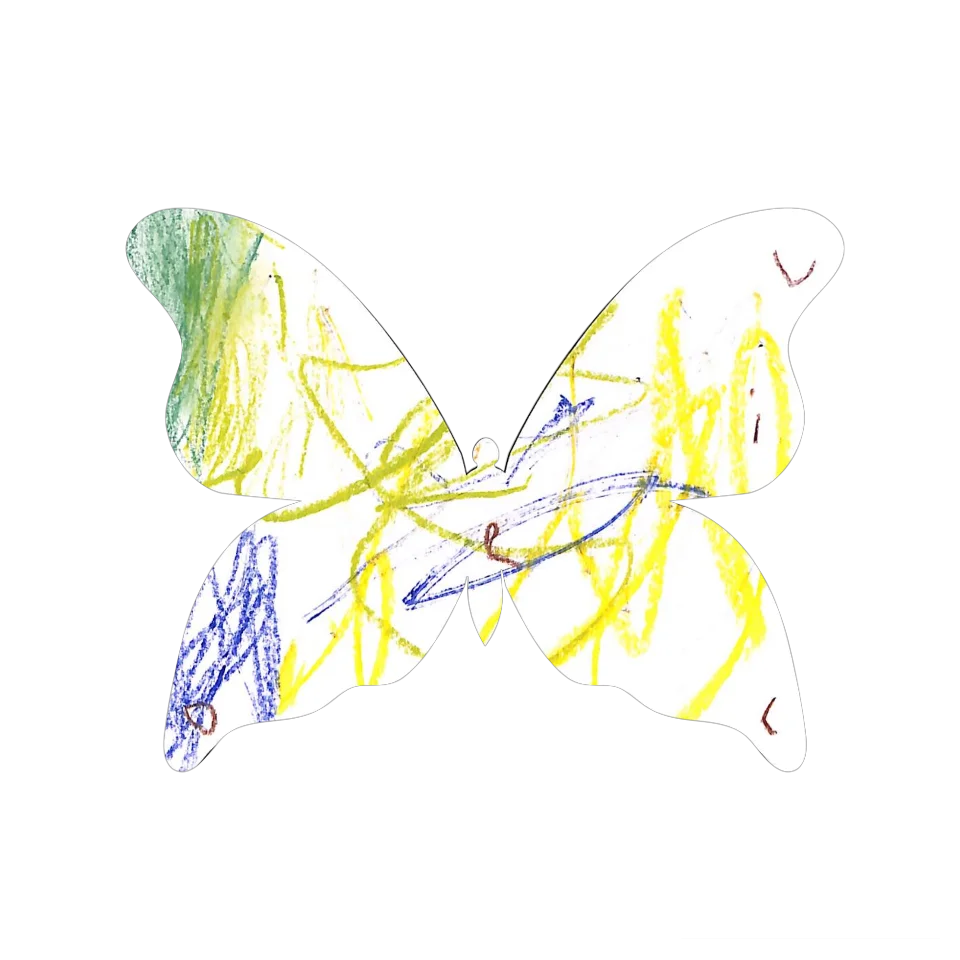 Original Butterfly Image