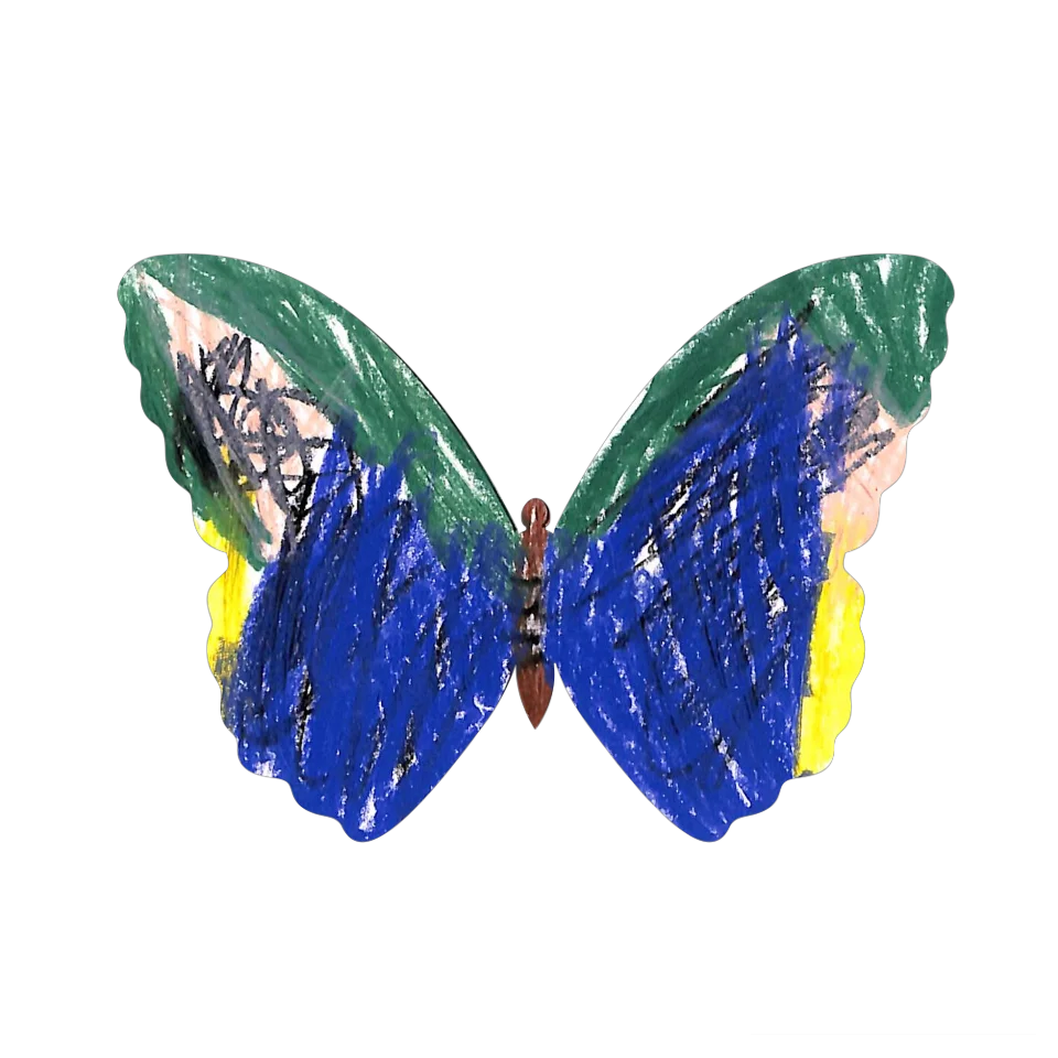 Original Butterfly Image