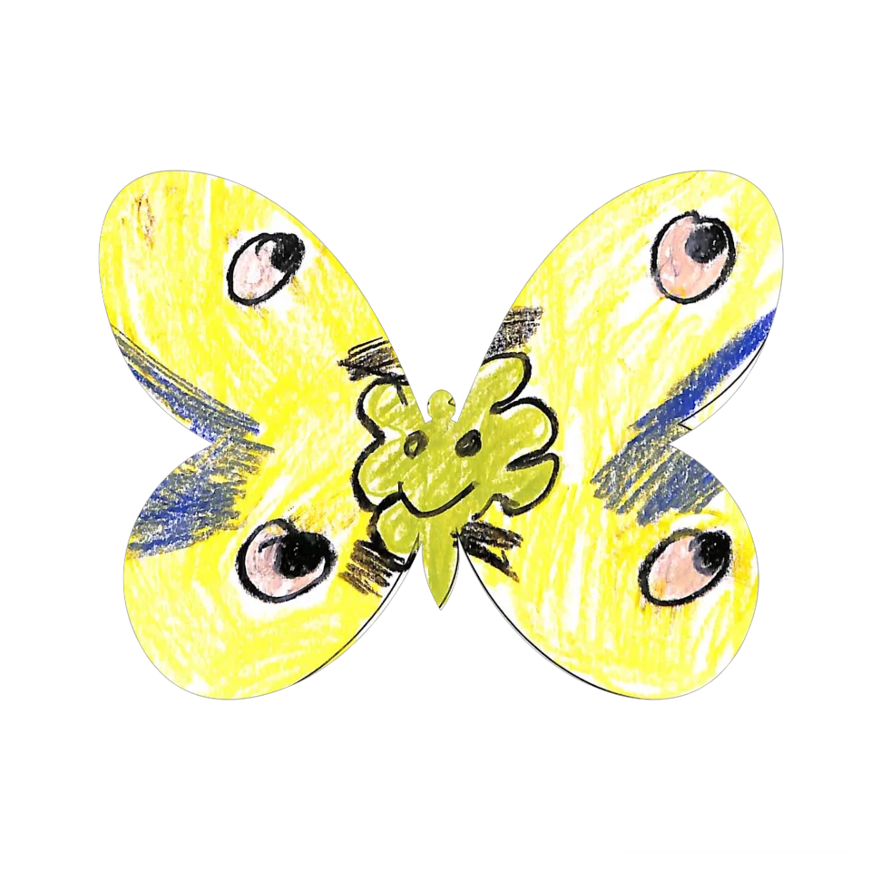 Original Butterfly Image