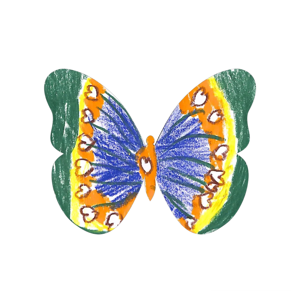 Original Butterfly Image
