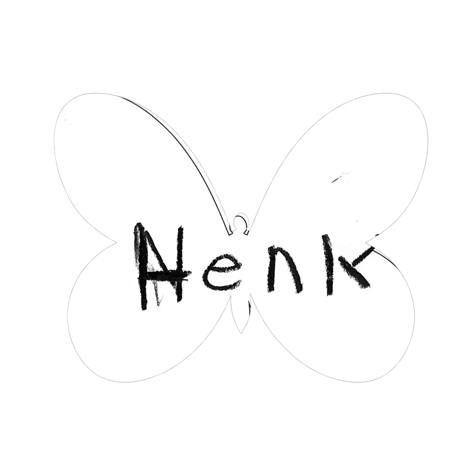 Original Butterfly Image