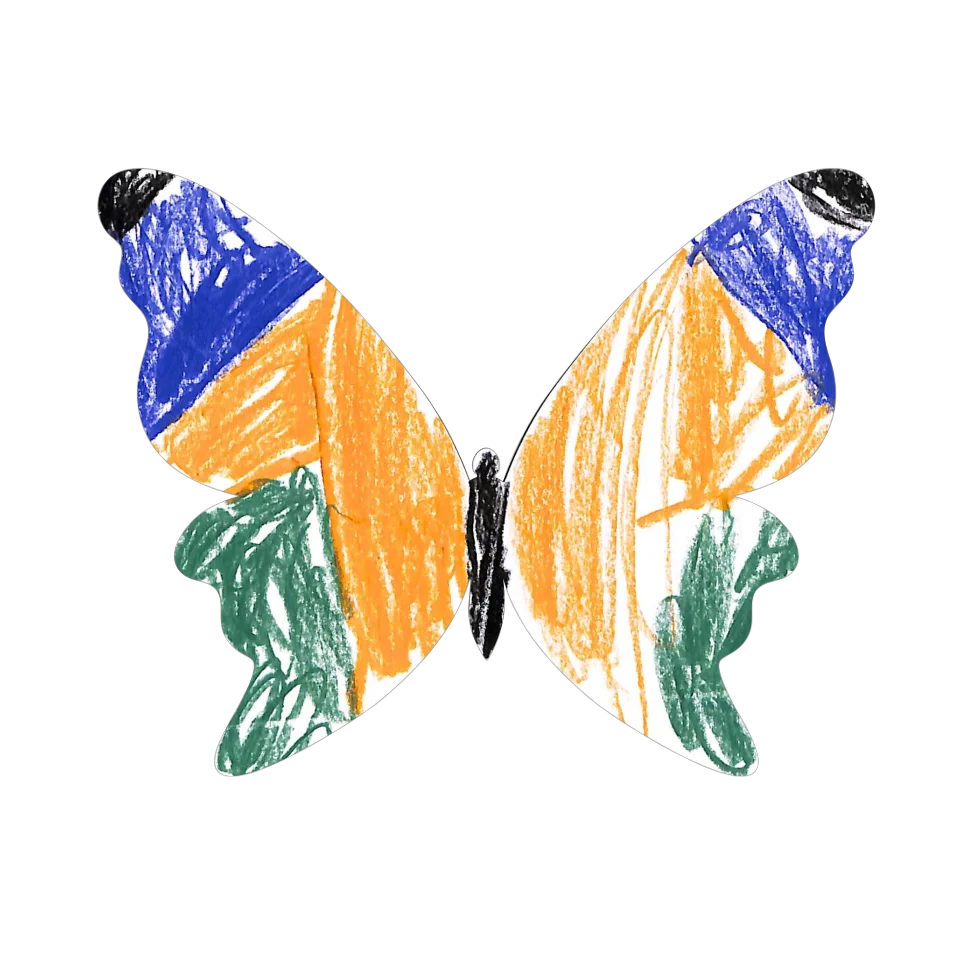 Original Butterfly Image