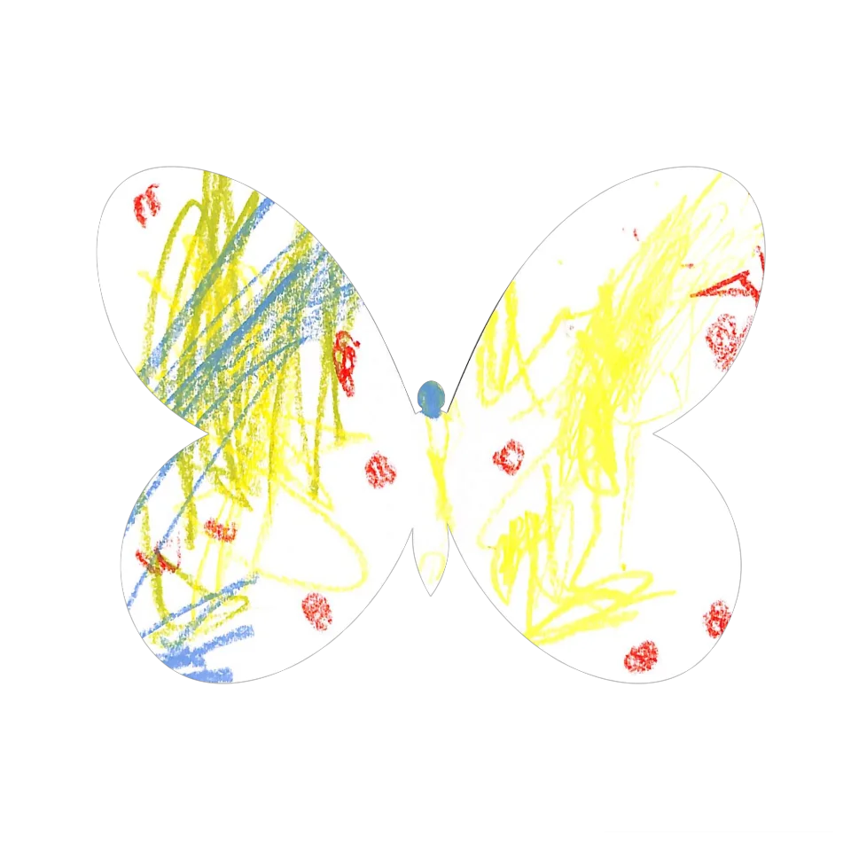 Original Butterfly Image