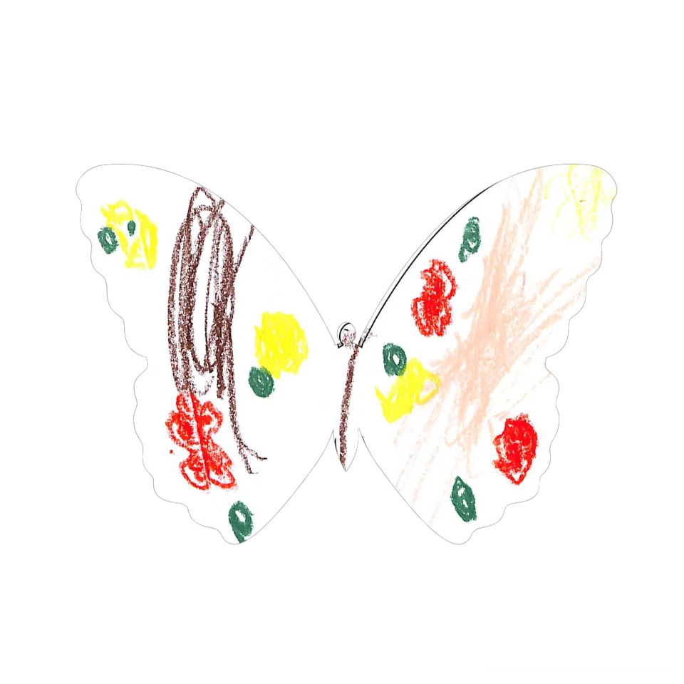 Original Butterfly Image