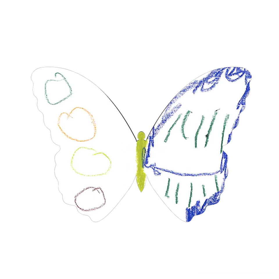 Original Butterfly Image