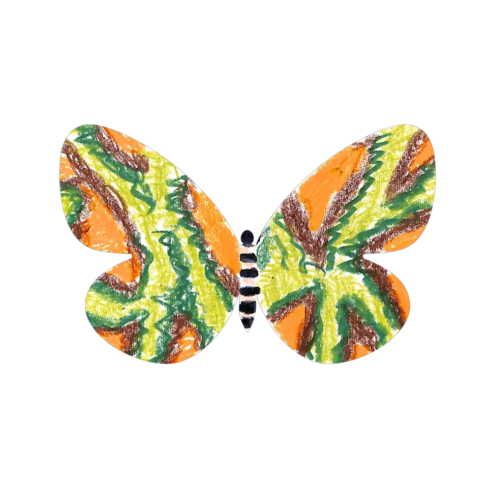 Original Butterfly Image