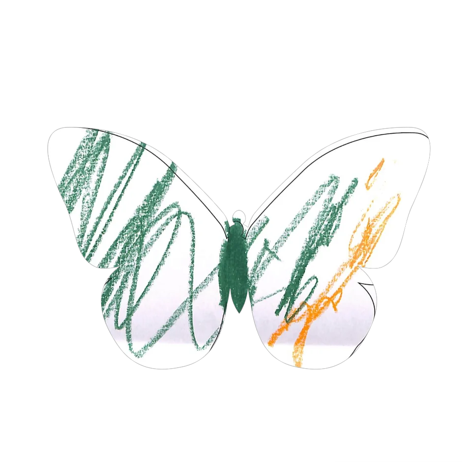 Original Butterfly Image
