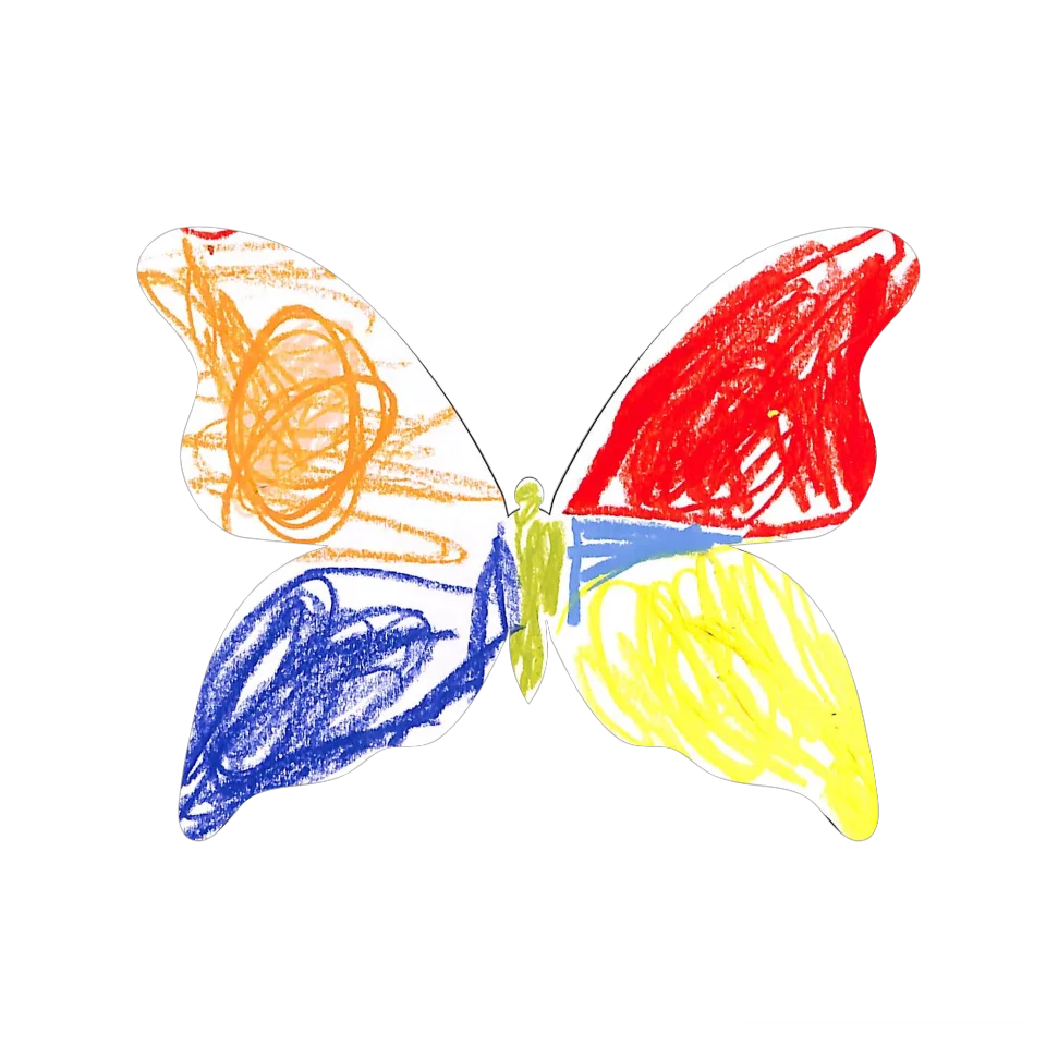 Original Butterfly Image
