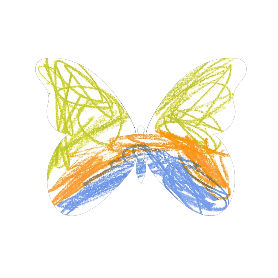 Original Butterfly Image