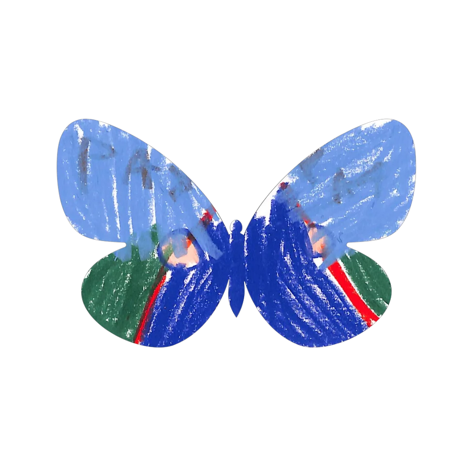 Original Butterfly Image