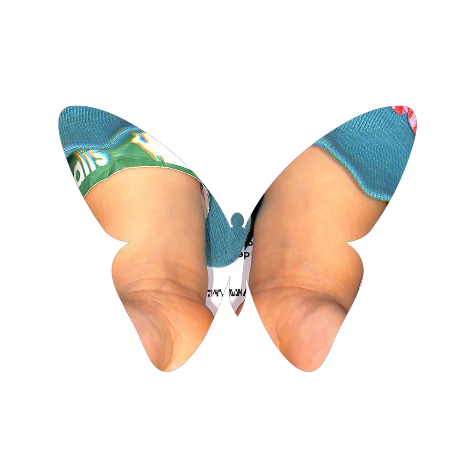Original Butterfly Image