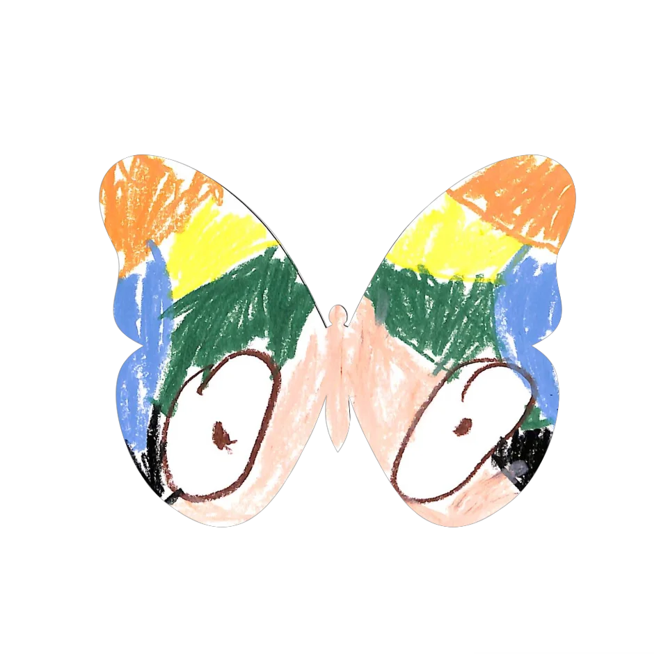 Original Butterfly Image
