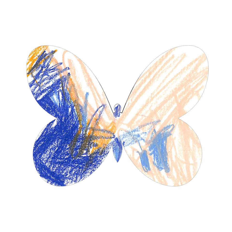 Original Butterfly Image