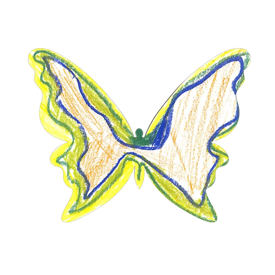 Original Butterfly Image