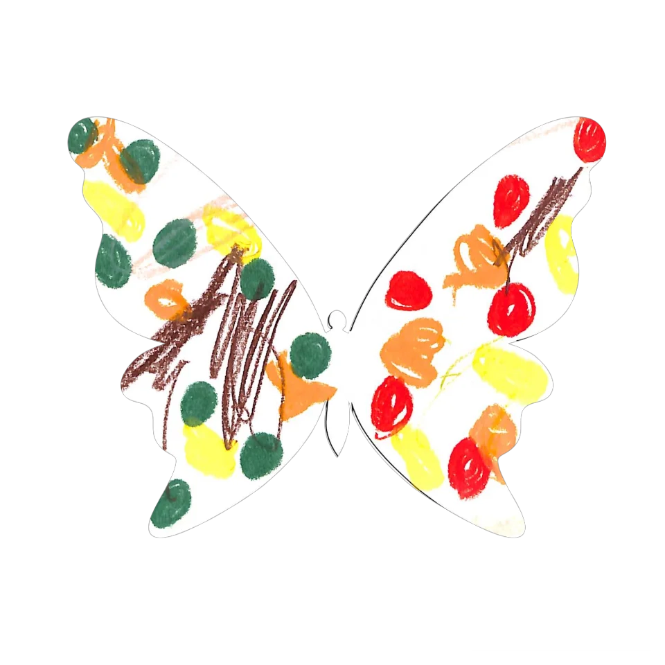 Original Butterfly Image