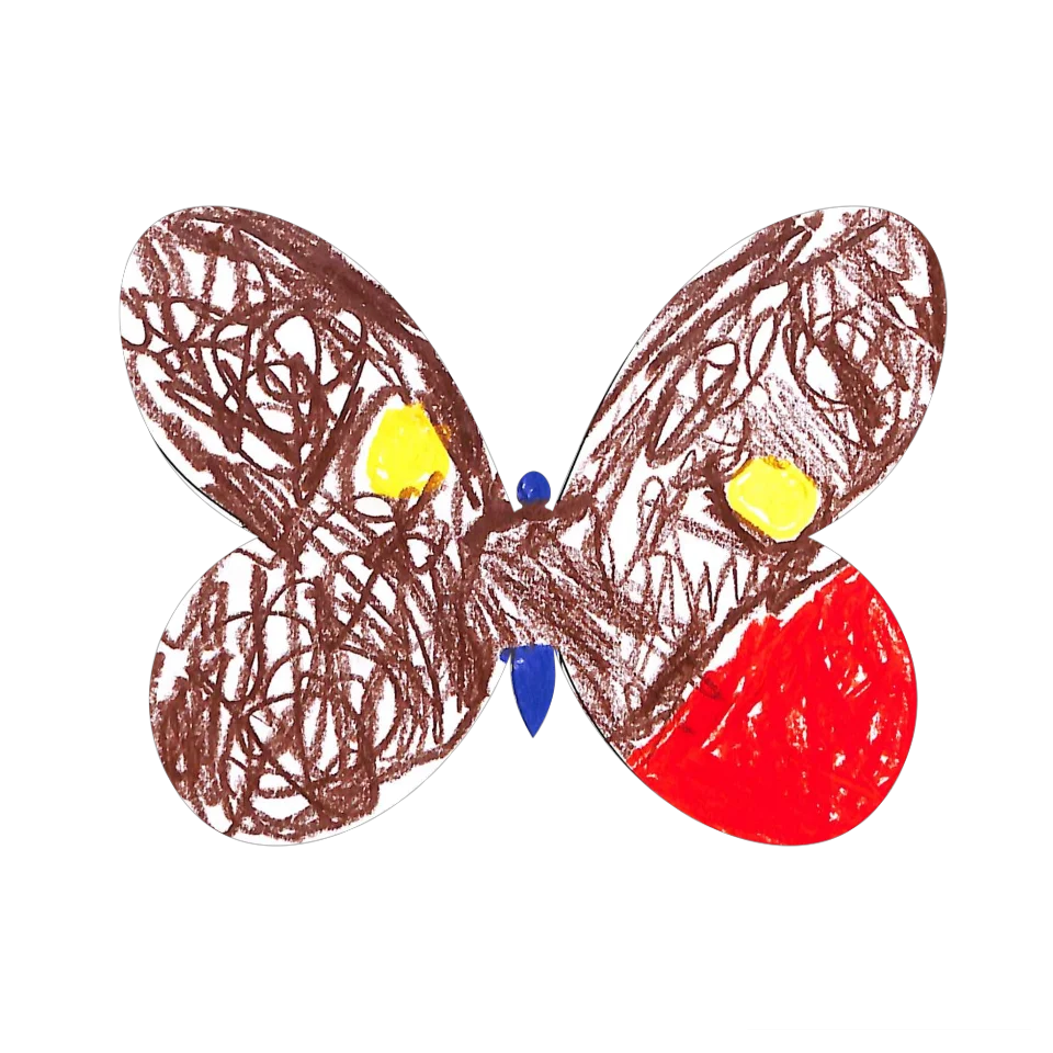 Original Butterfly Image
