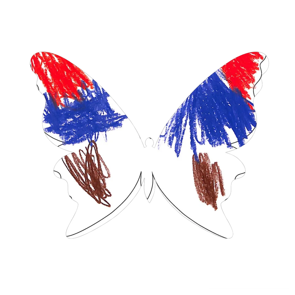 Original Butterfly Image