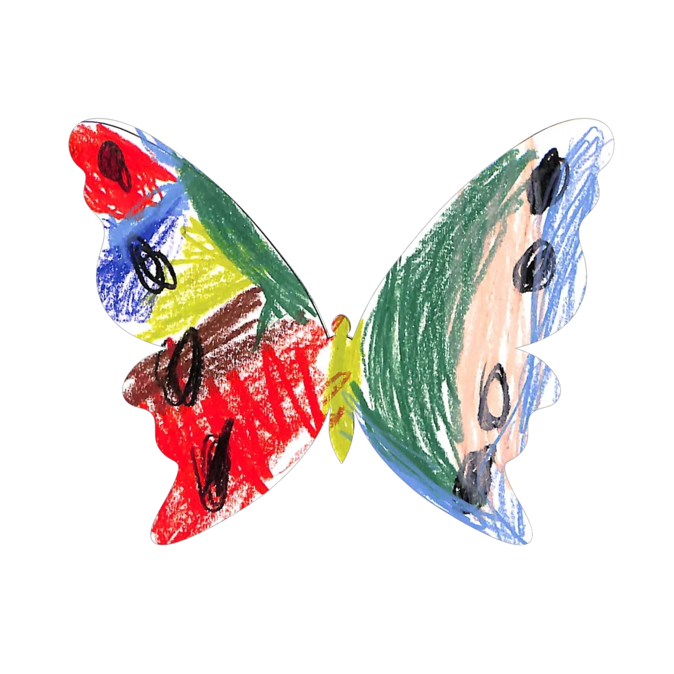 Original Butterfly Image