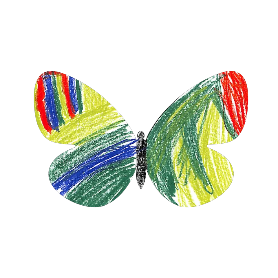 Original Butterfly Image