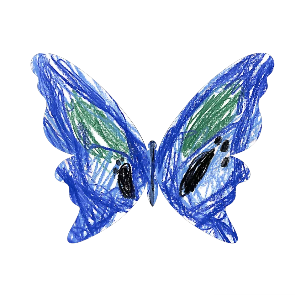 Original Butterfly Image