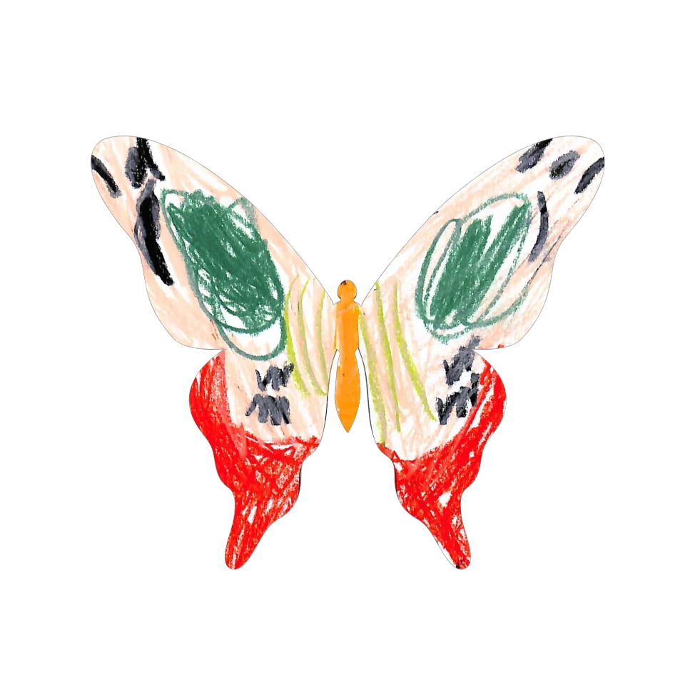 Original Butterfly Image