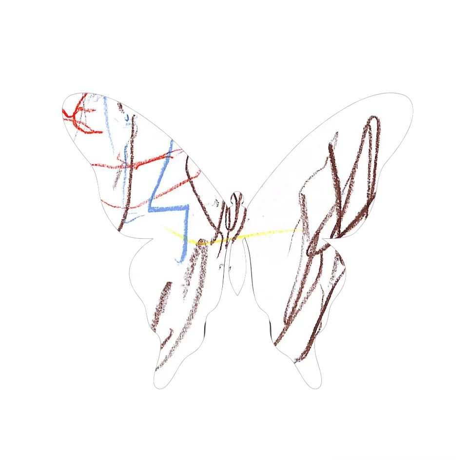 Original Butterfly Image