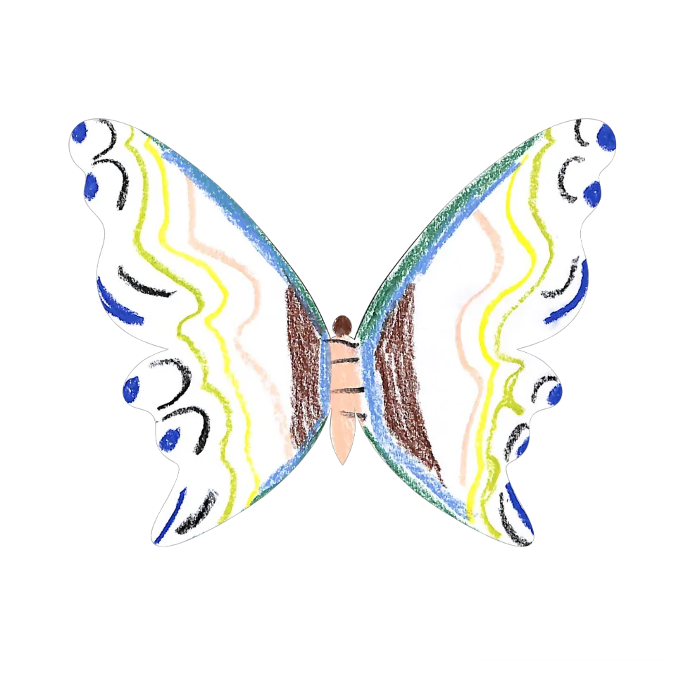 Original Butterfly Image