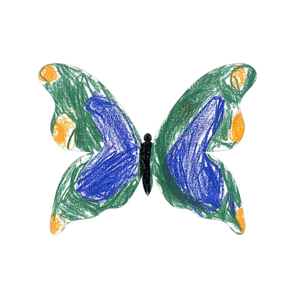 Original Butterfly Image