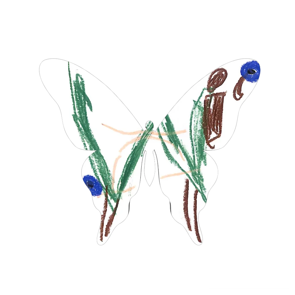 Original Butterfly Image