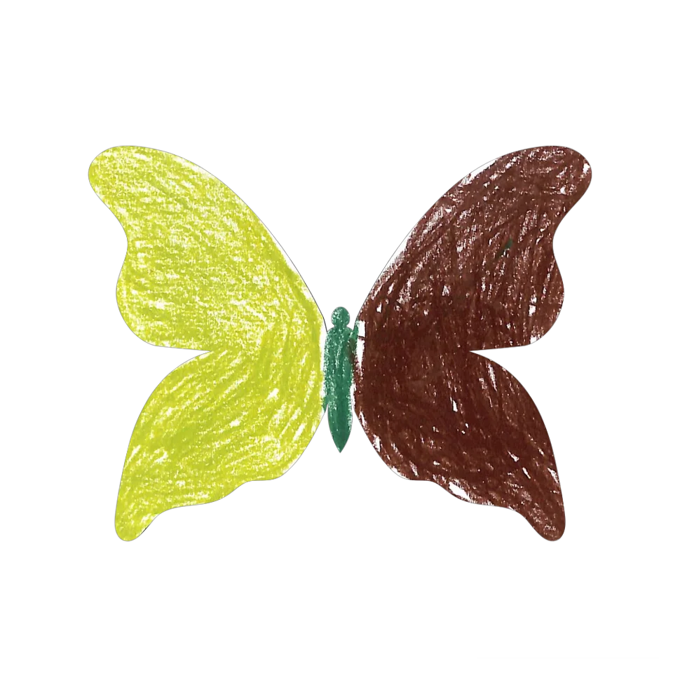 Original Butterfly Image
