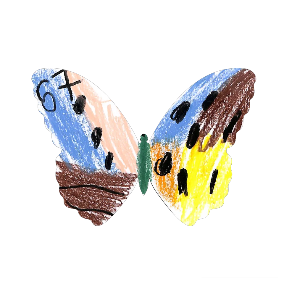 Original Butterfly Image