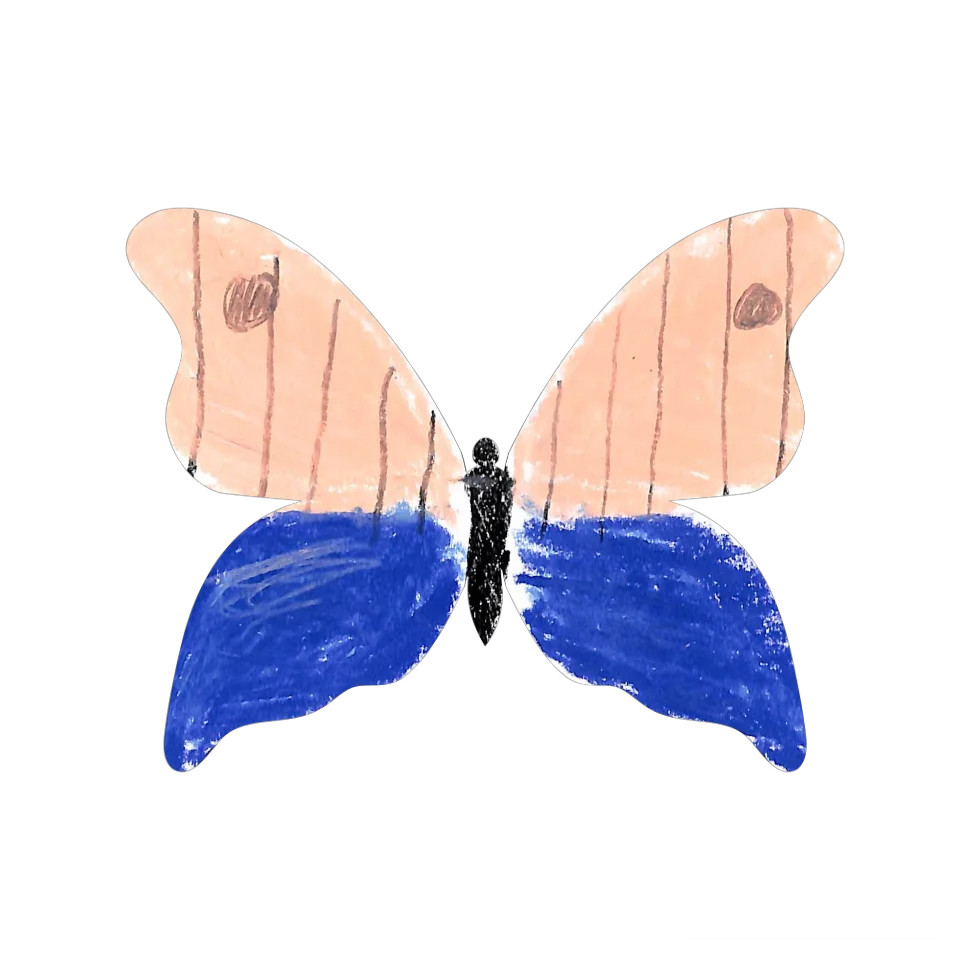 Original Butterfly Image