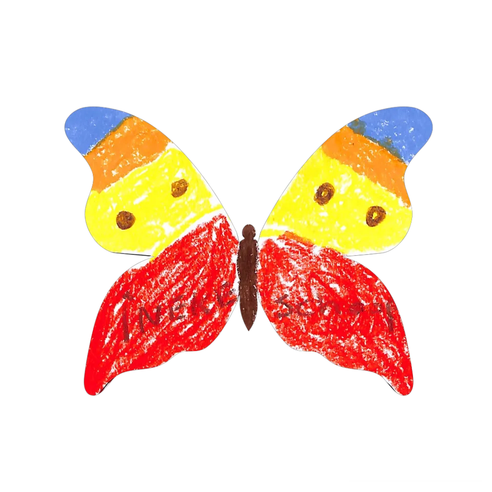 Original Butterfly Image
