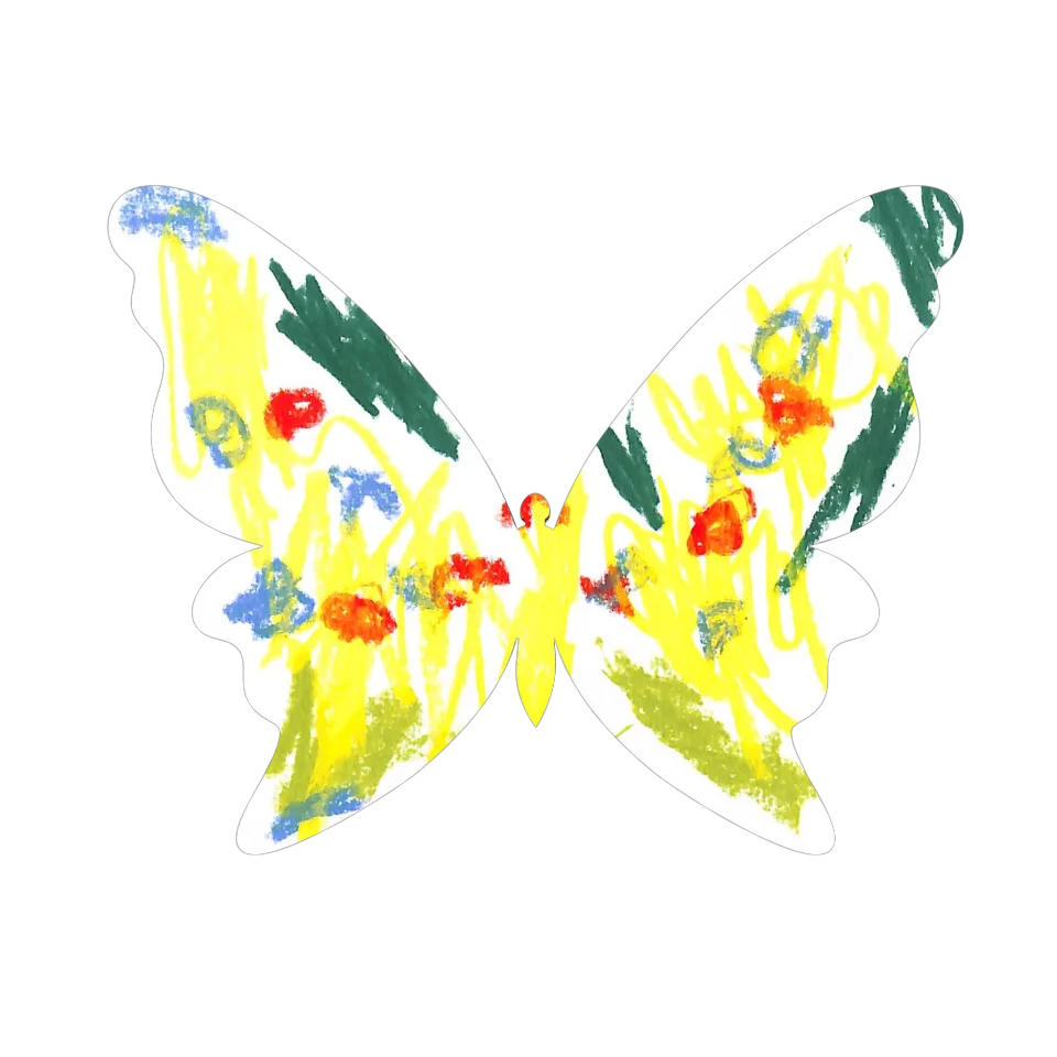 Original Butterfly Image