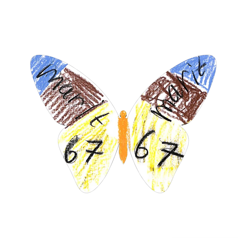 Original Butterfly Image