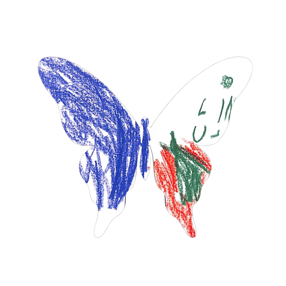 Original Butterfly Image